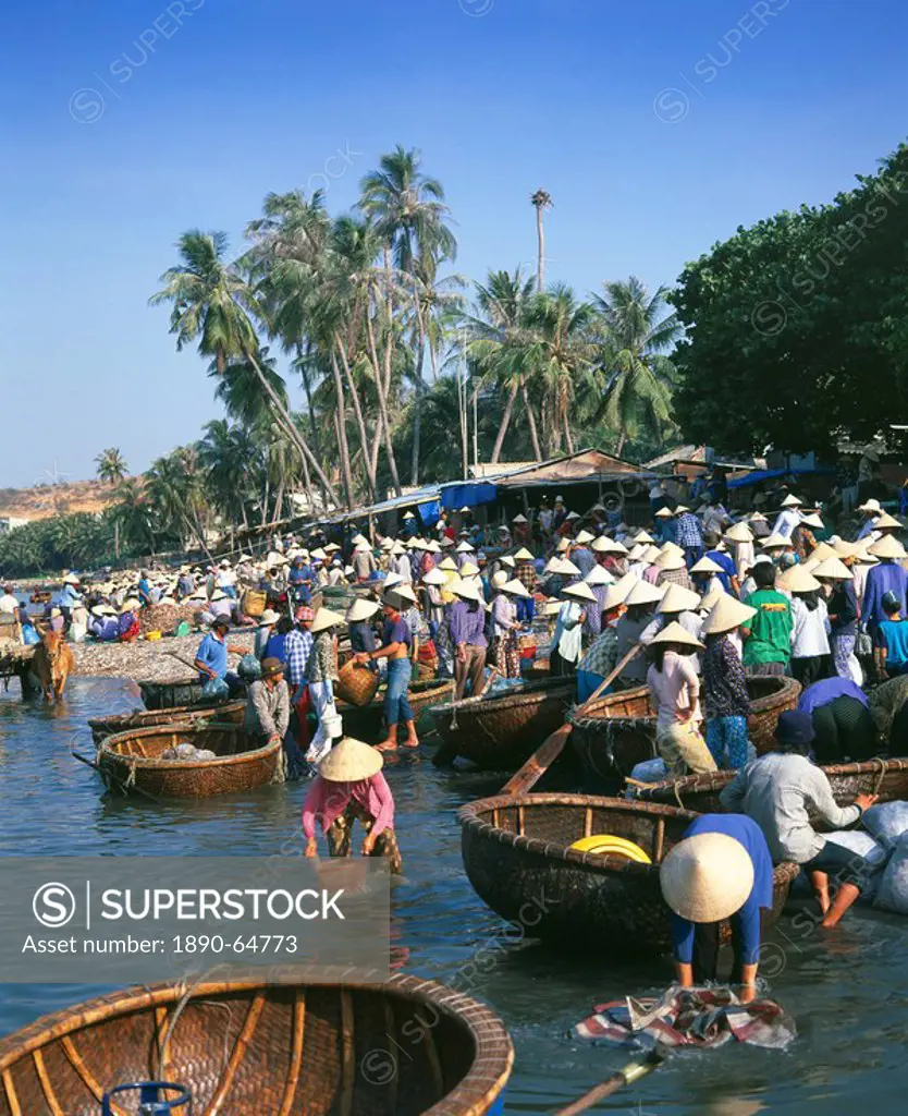 Fishing village people collecting the morning catch from fishing boat fleet, Mui Ne, south_central coast, Vietnam, Indochina, Southeast Asia, Asia