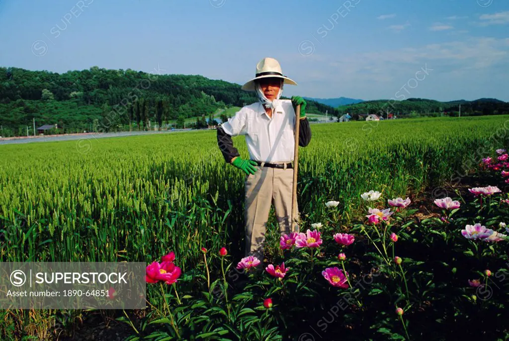 Furano farmer, Hokkaido, Japan