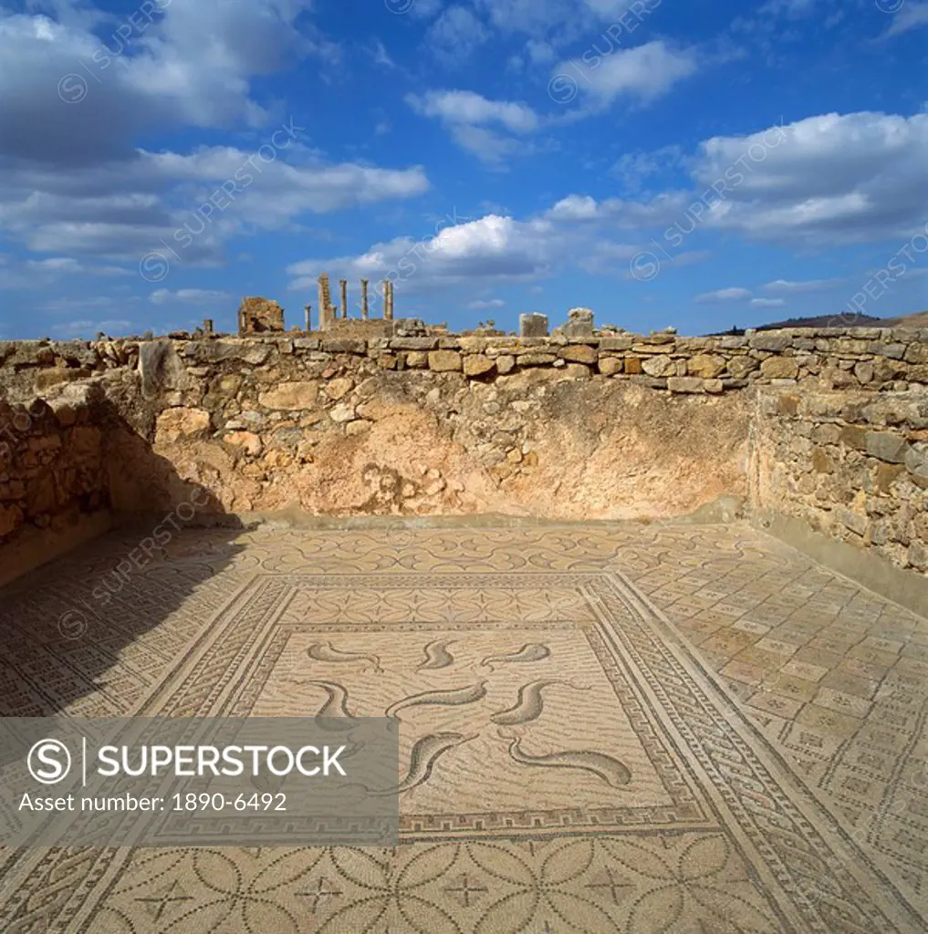 Mosaics from the 3rd century Roman city of Volubilis, UNESCO World Heritage Site, Morocco, North Africa, Africa