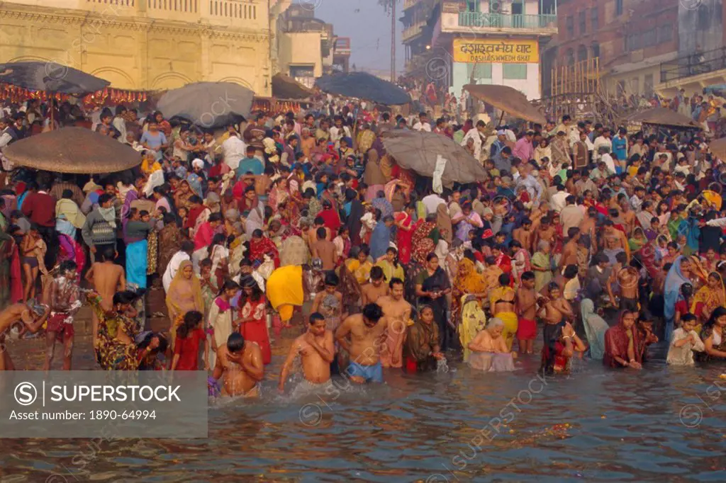 Hindu religious morning rituals in the Ganges Ganga River, Makar San Kranti festival, Varanasi Benares, Uttar Pradesh State, India