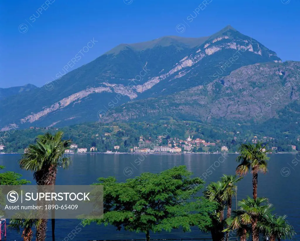 Cadenabbia, Lago di Como Lake Como, Lombardia Lombardy, Italian Lakes, Italy, Europe