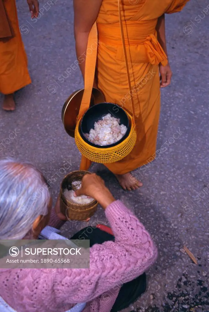 Novice monk receiving alms in the early morning, Luang Prabang, Laos, Indochina, Asia
