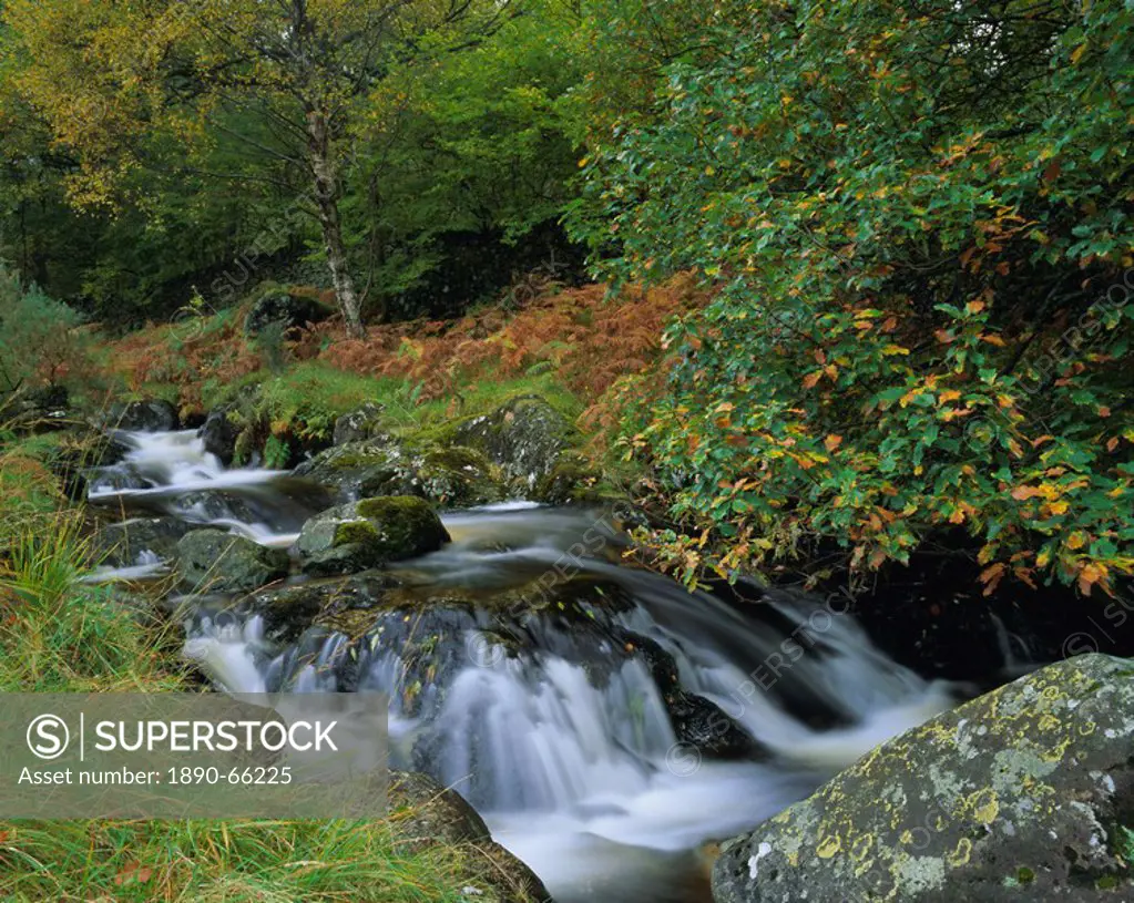 Barrow Beck and autumnal woodland near Ashness Bridge, Borrowdale, Lake District National Park, Cumbria, England, UK, Europe