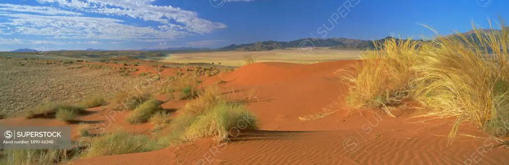Panoramic view over orange sand dunes towards the mountains, Namib Rand private game reserve, Namibia, Africa