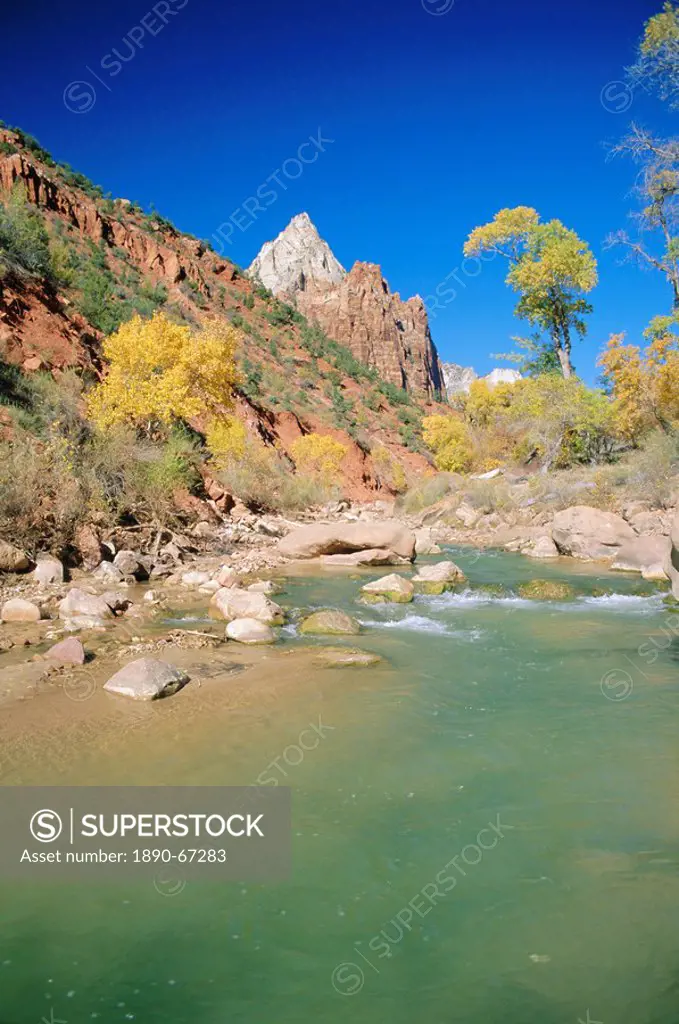 Mount Moroni and the Virgin River in autumn, Zion National Park, Utah, USA
