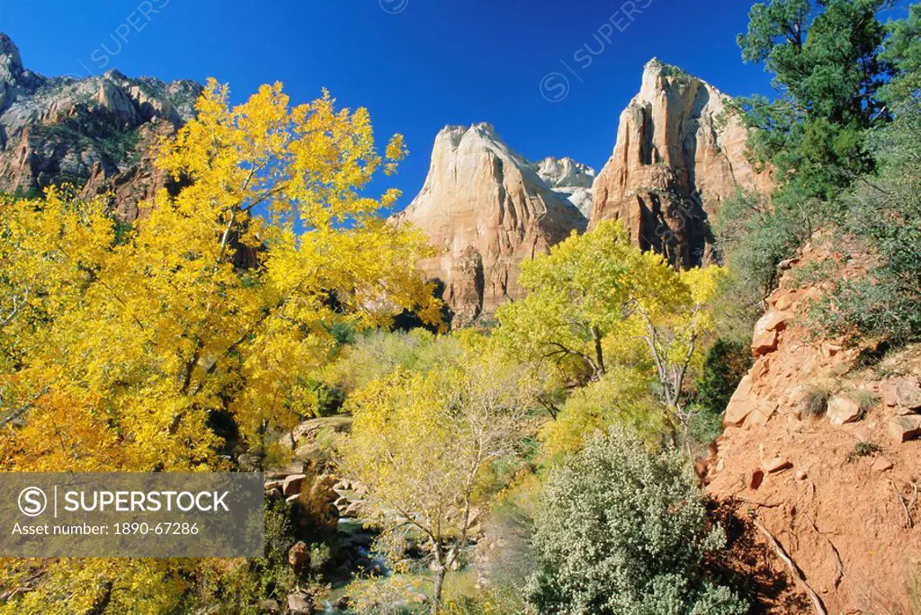 Autumn colours in the Court of the Patriarchs, Zion National Park, Utah, USA