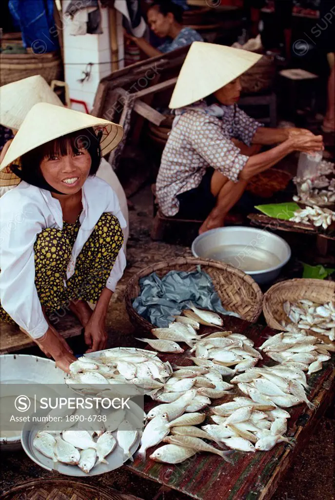 Women in straw hats selling fish in the Cai River fish market in the town of Hoi An, Danang, Vietnam, Indochina, Southeast Asia, Asia