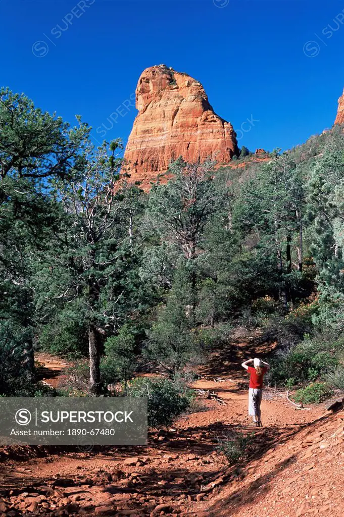 Birdwatcher on path, and red rock cliff towering above the Brins Mesa Trail. Sedona, Arizona, United States of America U.S.A., North America