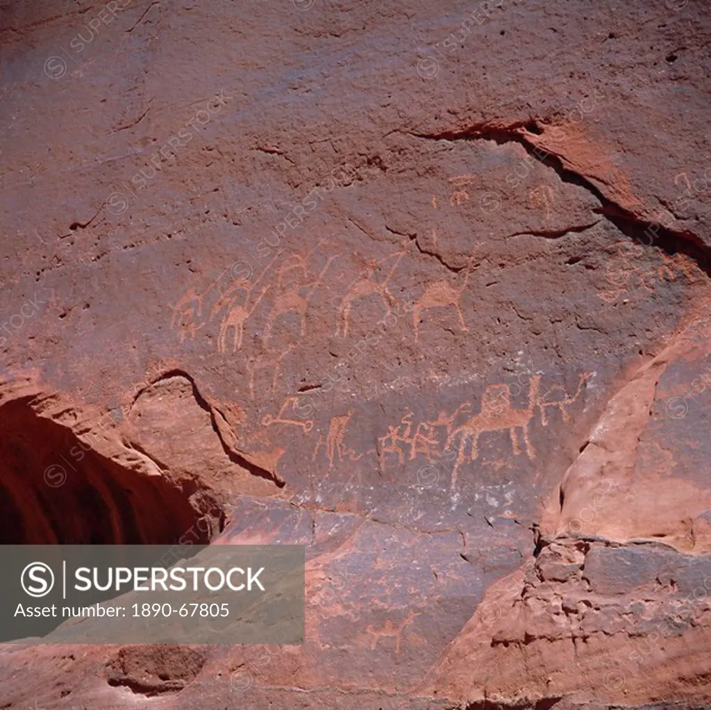 Thamudic inscriptions carved 2000 years ago by Arabian tribe of camel caravan on Jebal Umm Ishrin, Wadi Rum, Jordan, Middle East