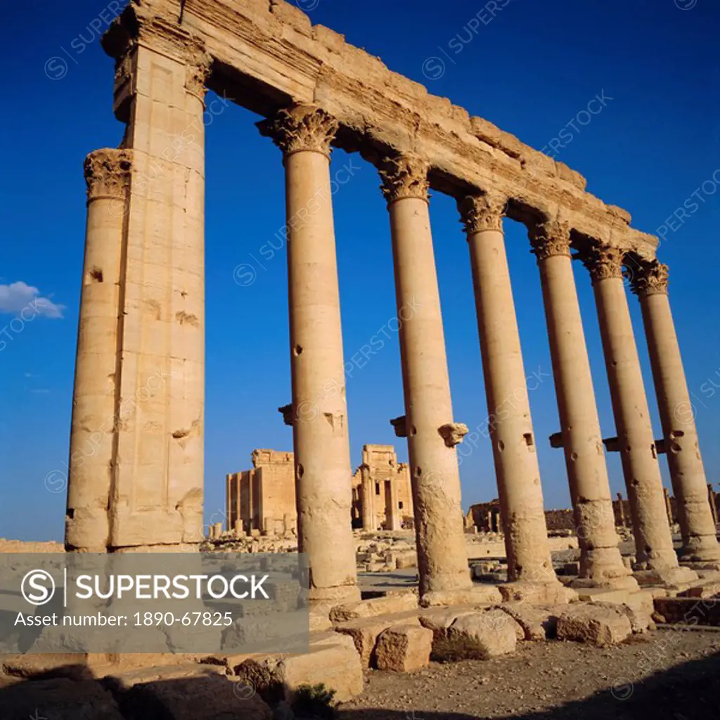 Roman Temple of Bel, 45 AD, Palmyra, Syria, Middle East