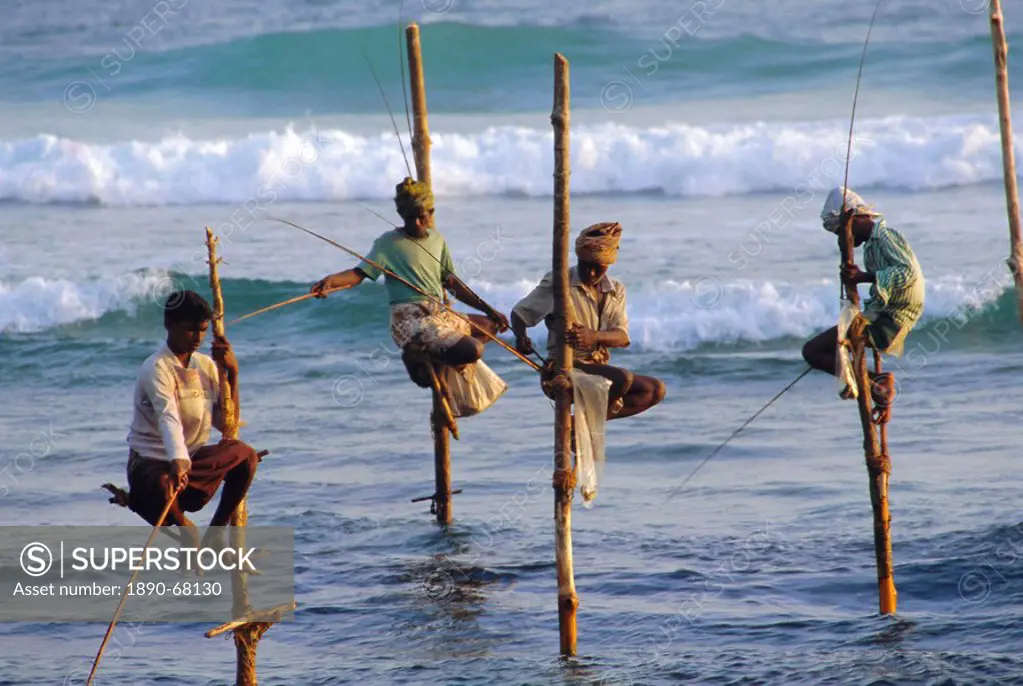 Stilt fishermen, Weligama, Sri Lanka, Asia