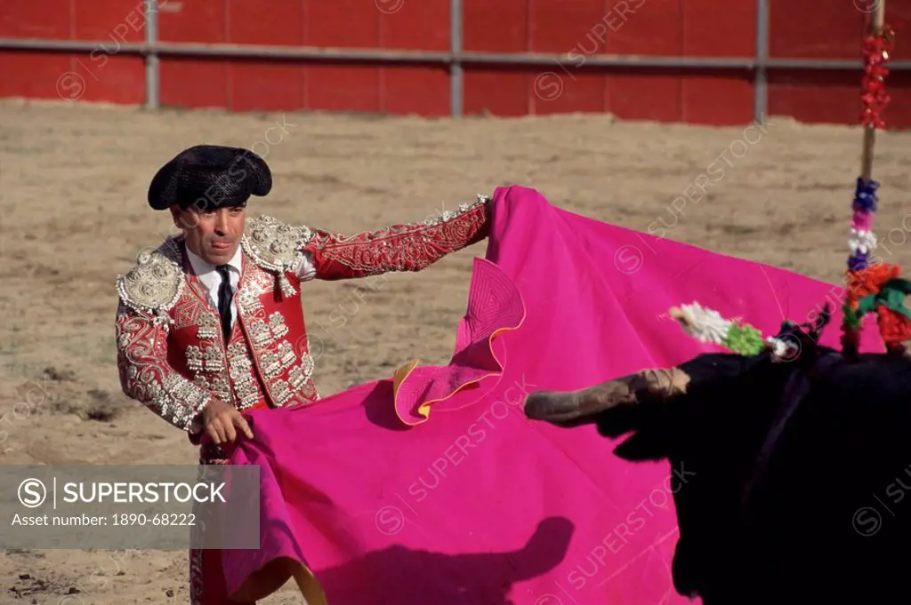 Bullfighter, bull and cape, New Fairs, Ponte de Lima, Minho, Portugal, Europe