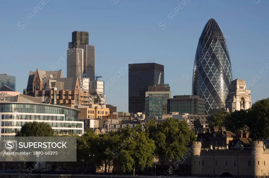 City of London skyline, 30 St. Mary Axe building on the right, London, England