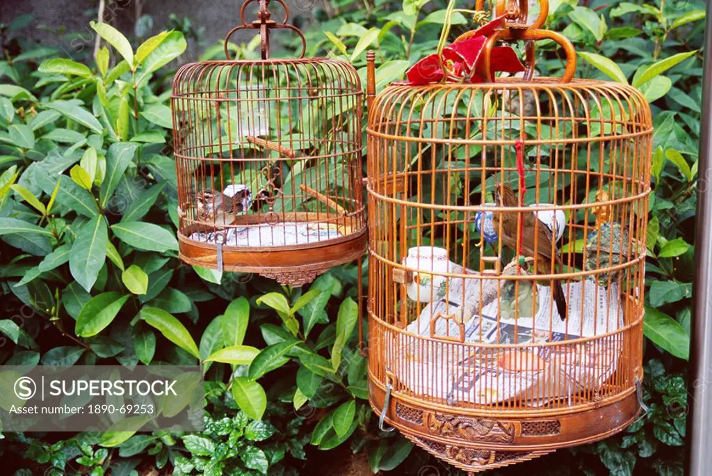 Caged birds, Yuen Po Street Bird Garden, Mong Kok, Kowloon, Hong Kong, China, Asia