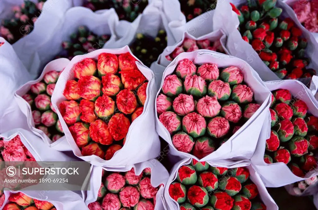 Carnations, flower market, Mong Kok, Kowloon, Hong Kong, China, Asia