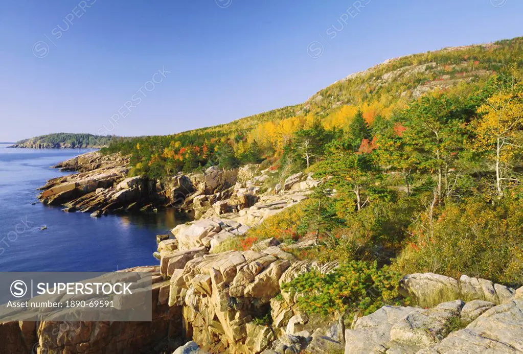 Acadia national park coastline, Maine, New England, USA, North America