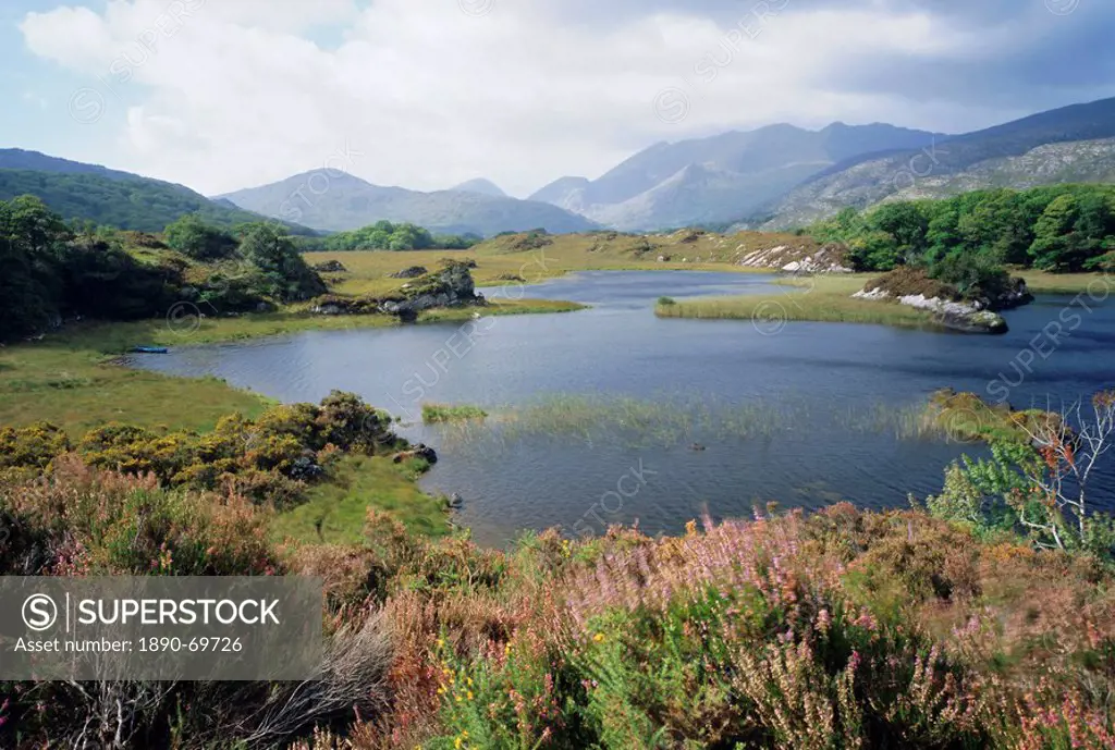 Upper Lake and Macgillycuddy´s Reeks, Ring of Kerry, Killarney, County Kerry, Munster, Republic of Ireland Eire, Europe