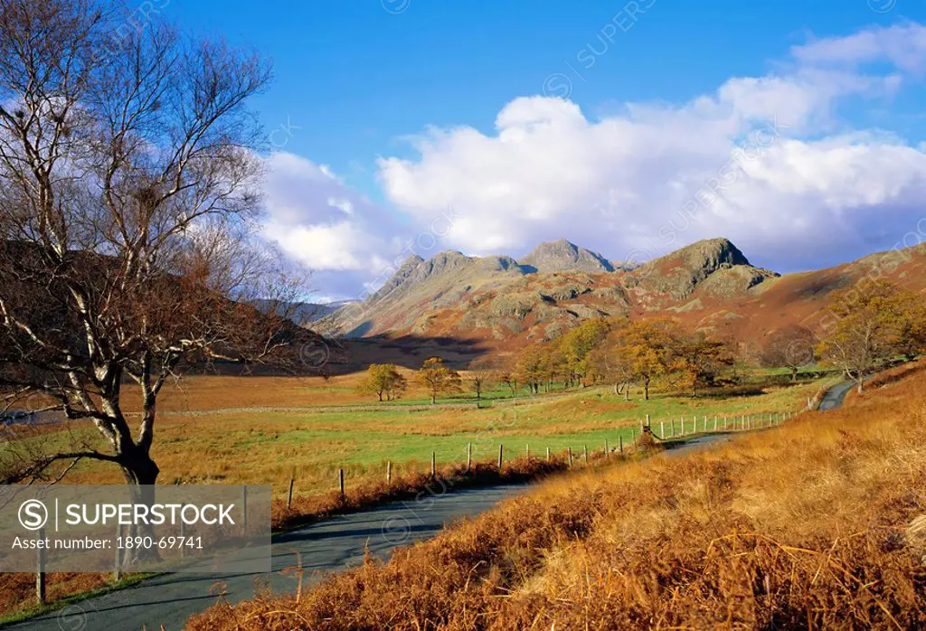 Langdale Pikes from Blea Tarn, Lake District National Park, Cumbria, England, UK