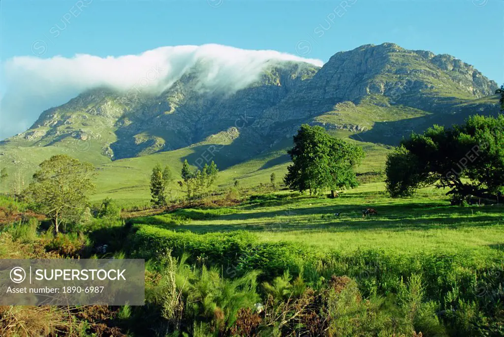 The Montagu and Outeniqua passes, Western Cape Province, South Africa, Africa