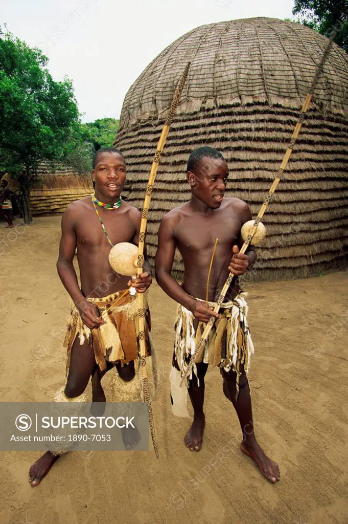 Two Zulu warriors in training with their bows and arrows, South Africa, Africa