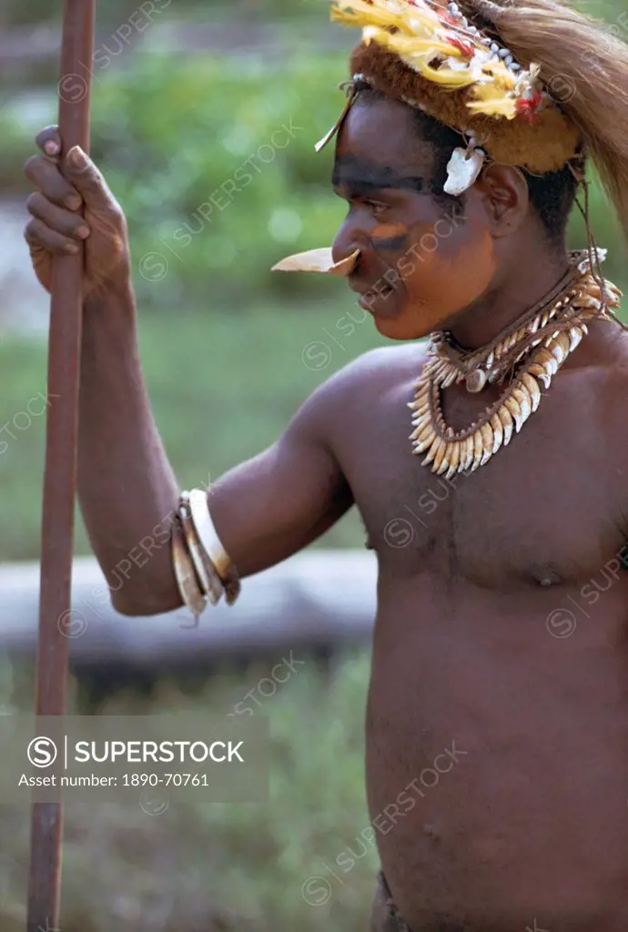 Tribesman, Basiem, Irian Jaya West Irian Irian Barat, New Guinea, Indonesia, Asia