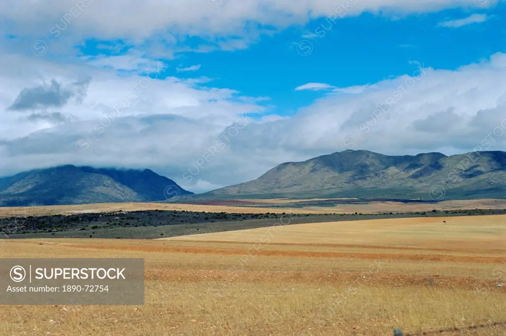 The Little Karoo, South Africa