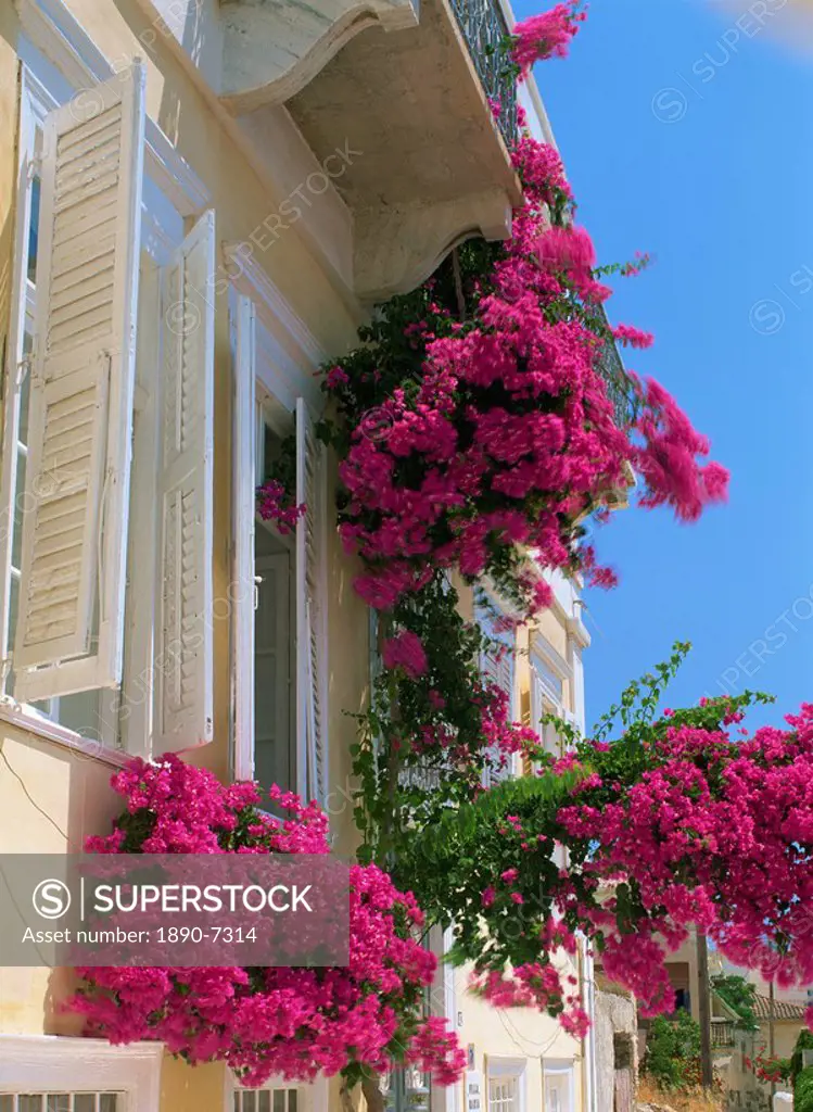 House with bougainvillea, Syros, Cyclades, Greek Islands, Greece, Europe