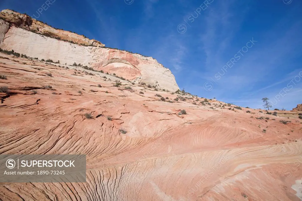 Slick rock, Zion National Park in autumn, Utah, United States of America, North America