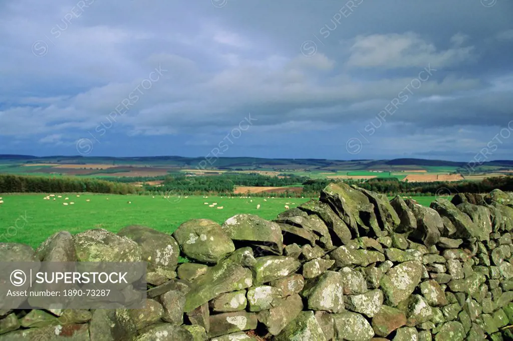 Dry stone wall near Doddington, Northumbria Northumberland, England, UK, Europe
