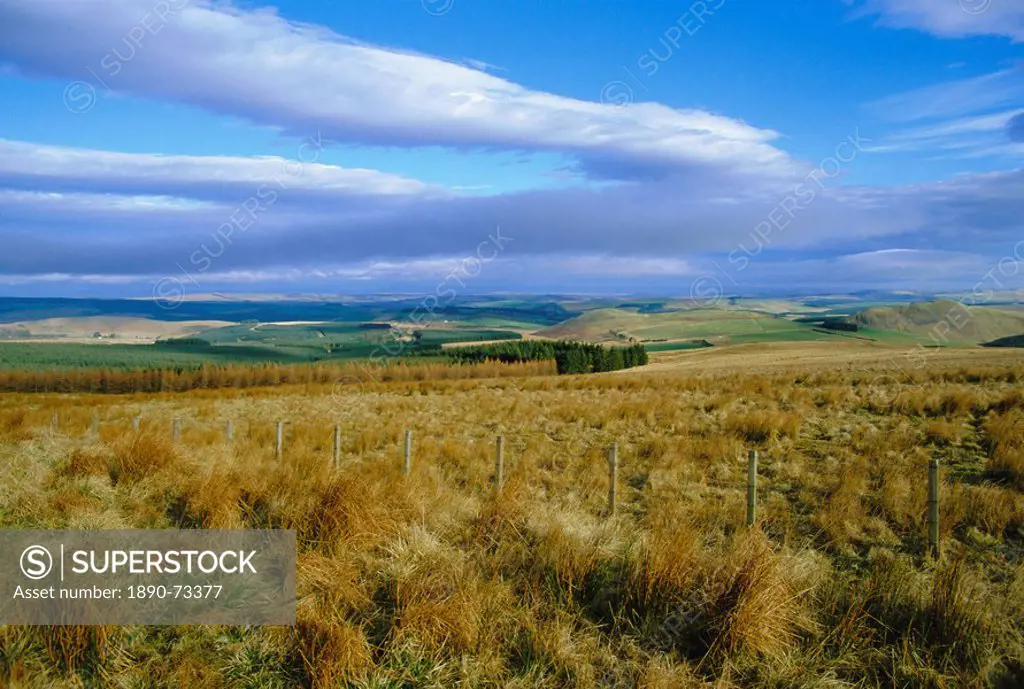 Landscape in the Scottish Borders, Scotland, UK, Europe