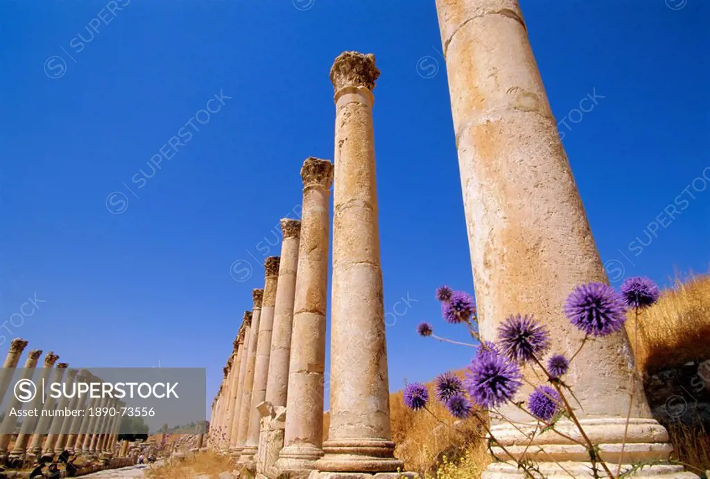 Columns of the Cardo, Jarash, Jordan, Middle East