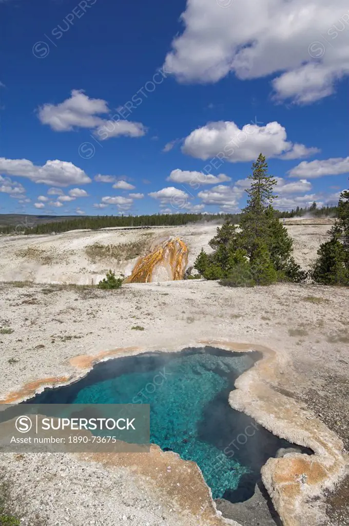 Blue Star Spring, Upper Geyser Basin, Yellowstone National Park, UNESCO World Heritage Site, Wyoming, United States of America, North America