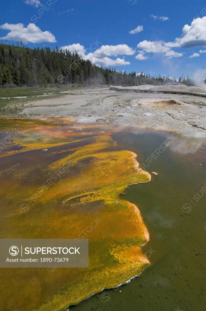 Wooden boardwalk and cyanobacteria thermophile formations on Geyser Hill, Upper Geyser Basin, Yellowstone National Park, UNESCO World Heritage Site, W...