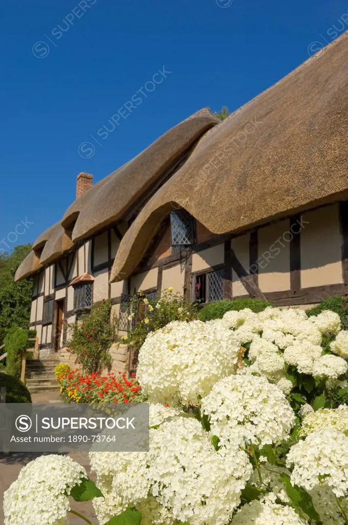 Cottage garden at Anne Hathaway´s thatched cottage, Shottery, near Stratford_upon_Avon, Warwickshire, England, United Kingdom, Europe