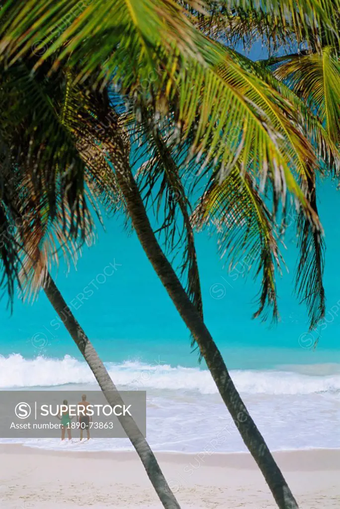 Bottom Bay Beach, East Coast, Barbados, Caribbean, West Indies