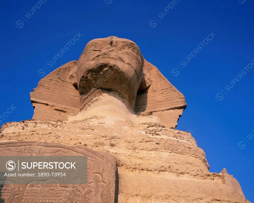The Sphinx, Giza, UNESCO World Heritage Site, near Cairo, Egypt, North Africa, Africa