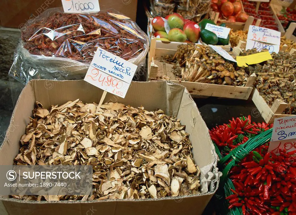 Mushrooms for sale in the market in Bologna, Emilia Romagna, Italy, Europe