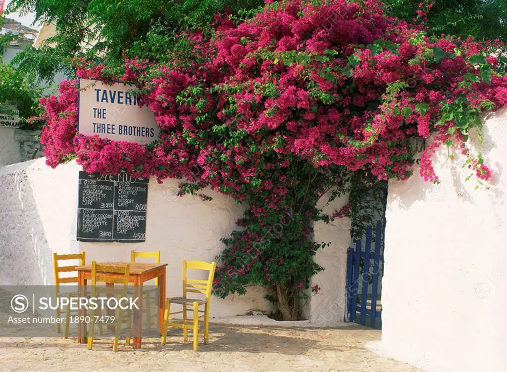 The Three Brothers Taverna, with menu, tables and chairs under bougainvillea, on Hydra, Argo Saronic Islands, Greek Islands, Greece, Europe