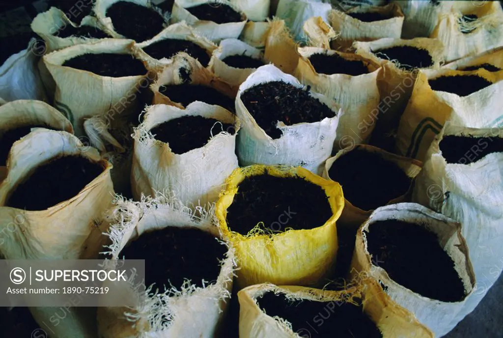 Sacks of tea, Melfort Tea Factory, Nuwara_Eliya region, Sri Lanka