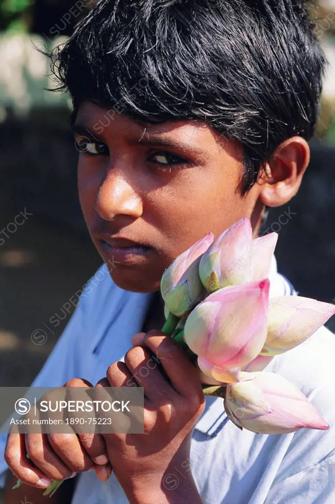 Portrait of a boy holding lotus buds by the lake at Kurunegala, central Sri Lanka