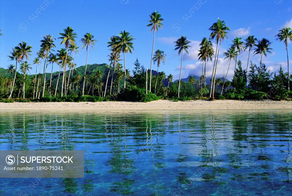 East coast, Motu Nao Nao, Raiatea Island, Society Islands archipelago, French Polynesia, South Pacific, Pacific