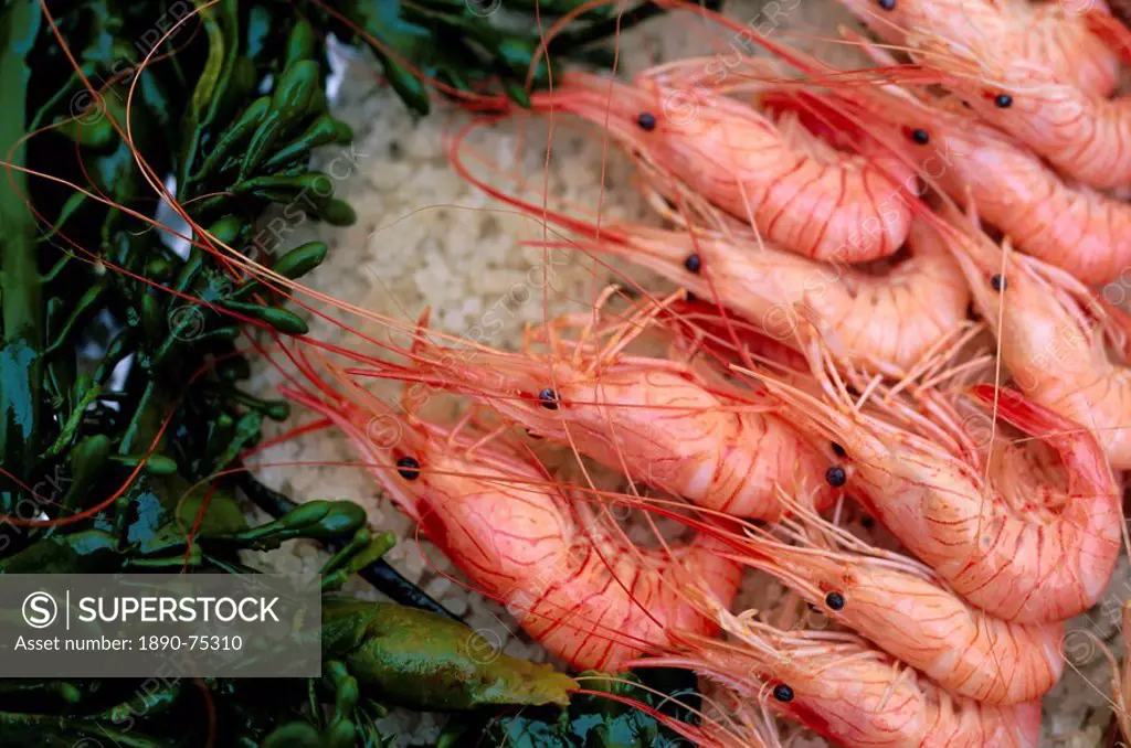 Crevettes prawns, Le Bistrot de Bernard, Ars, Ile de Re, Charente Maritime, France, Europe