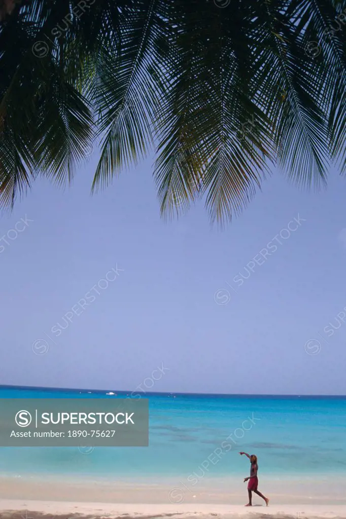 Beach, Barbados, West Indies