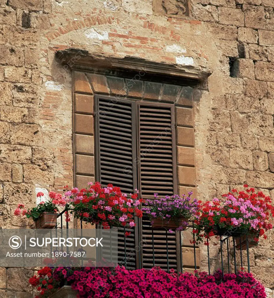 Flower covered balcony, Colle di Val d´Elsa, Tuscany, Italy, Europe