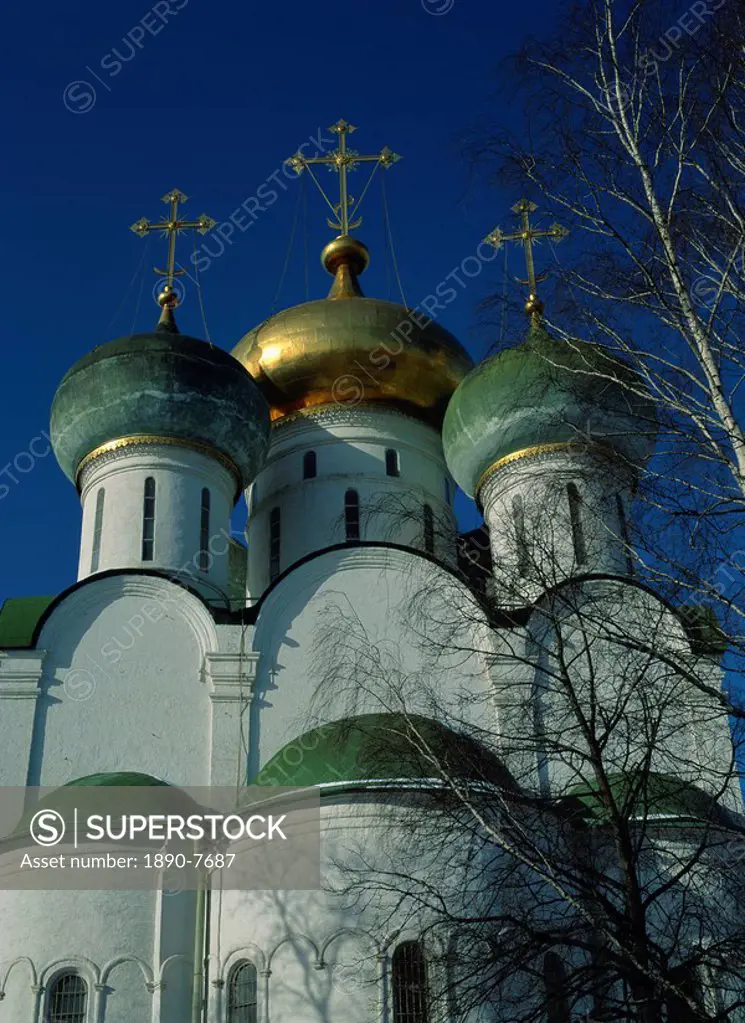 Novodevichy Convent, Smolensk Cathedral, UNESCO World Heritage Site, Moscow, Russia, Europe