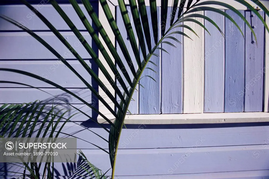 Palm frond in front of shutters on a wooden house, Barbados, West Indies, Caribbean, Central America