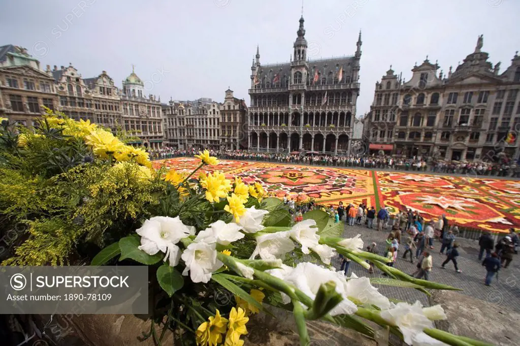 Flower carpet, Grand Place, Brussels, Belgium, Europe