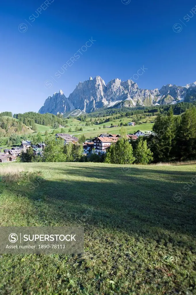 Meadow, Dolomites, Italy, Europe