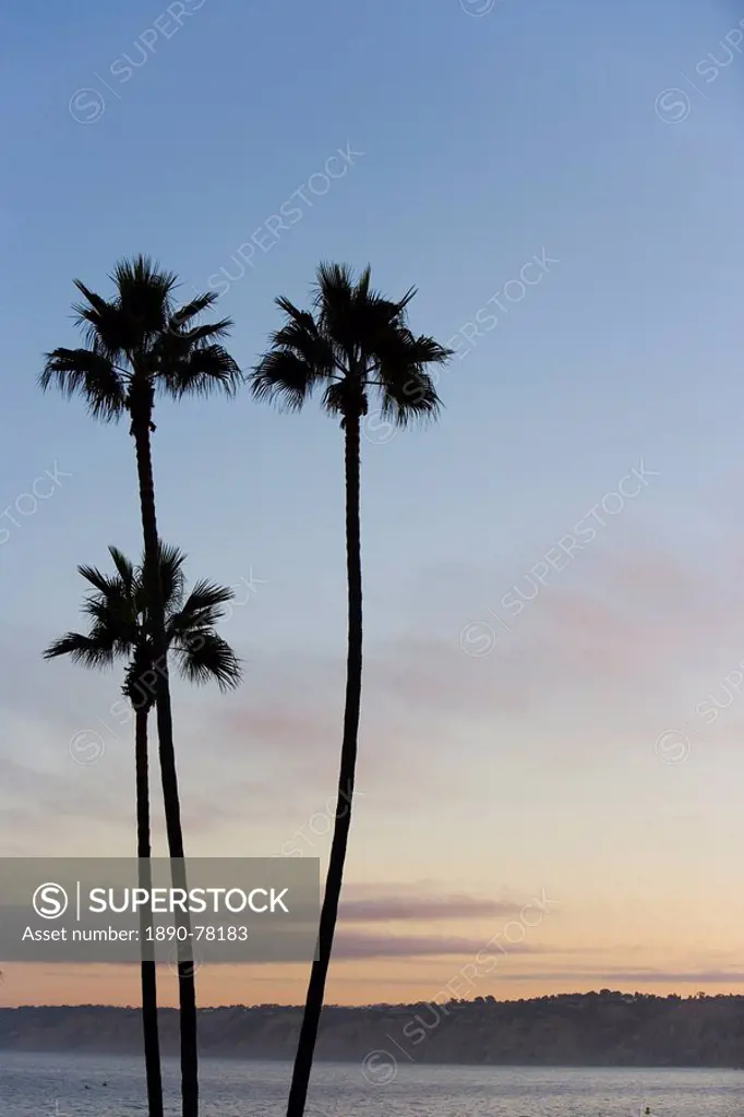 La Jolla, San Diego, California, United States of America, North America