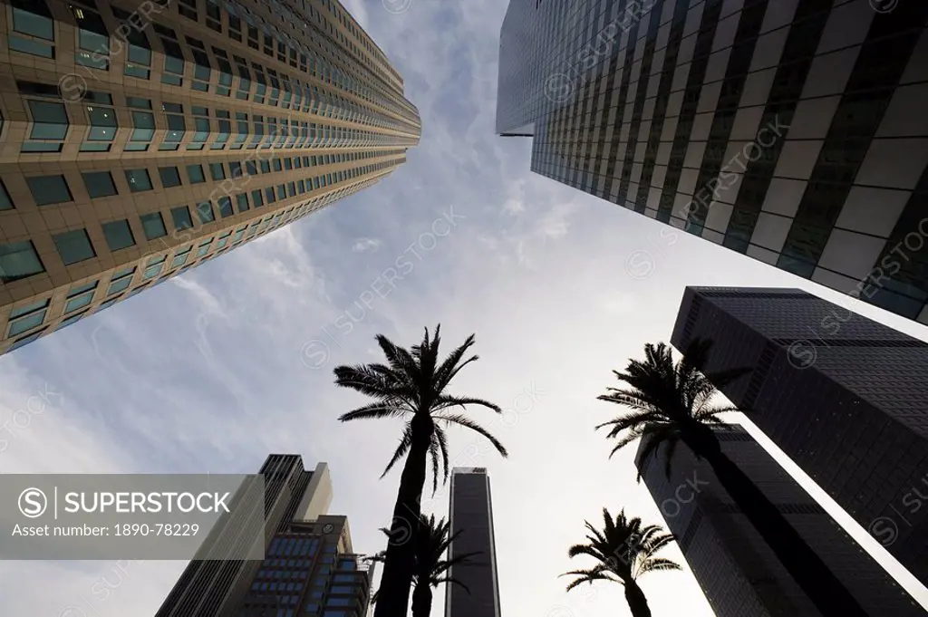 Palm trees and office buildings, Los Angeles, California, United States of America, North America